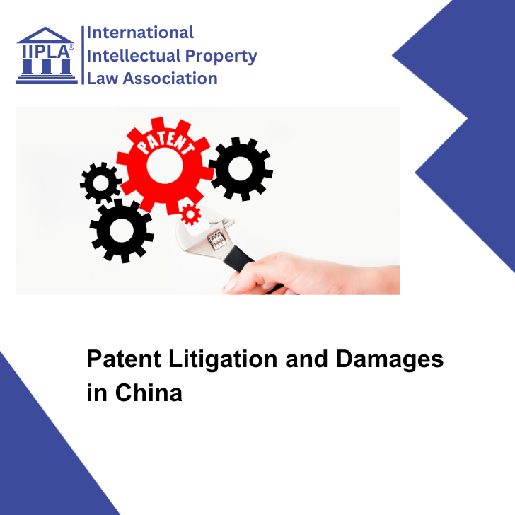 Patent Litigation and Damages in China