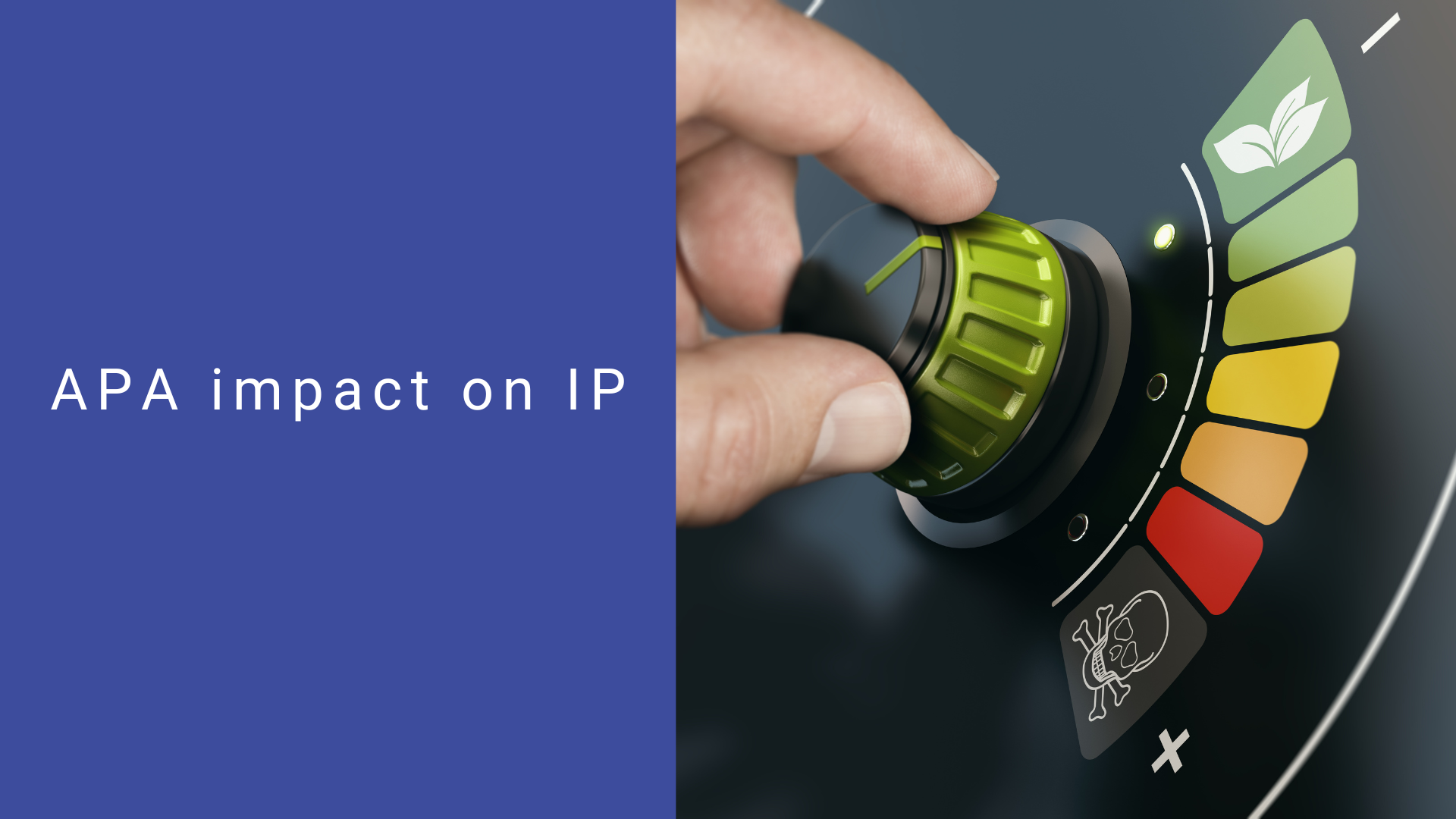 APA impact on IP
